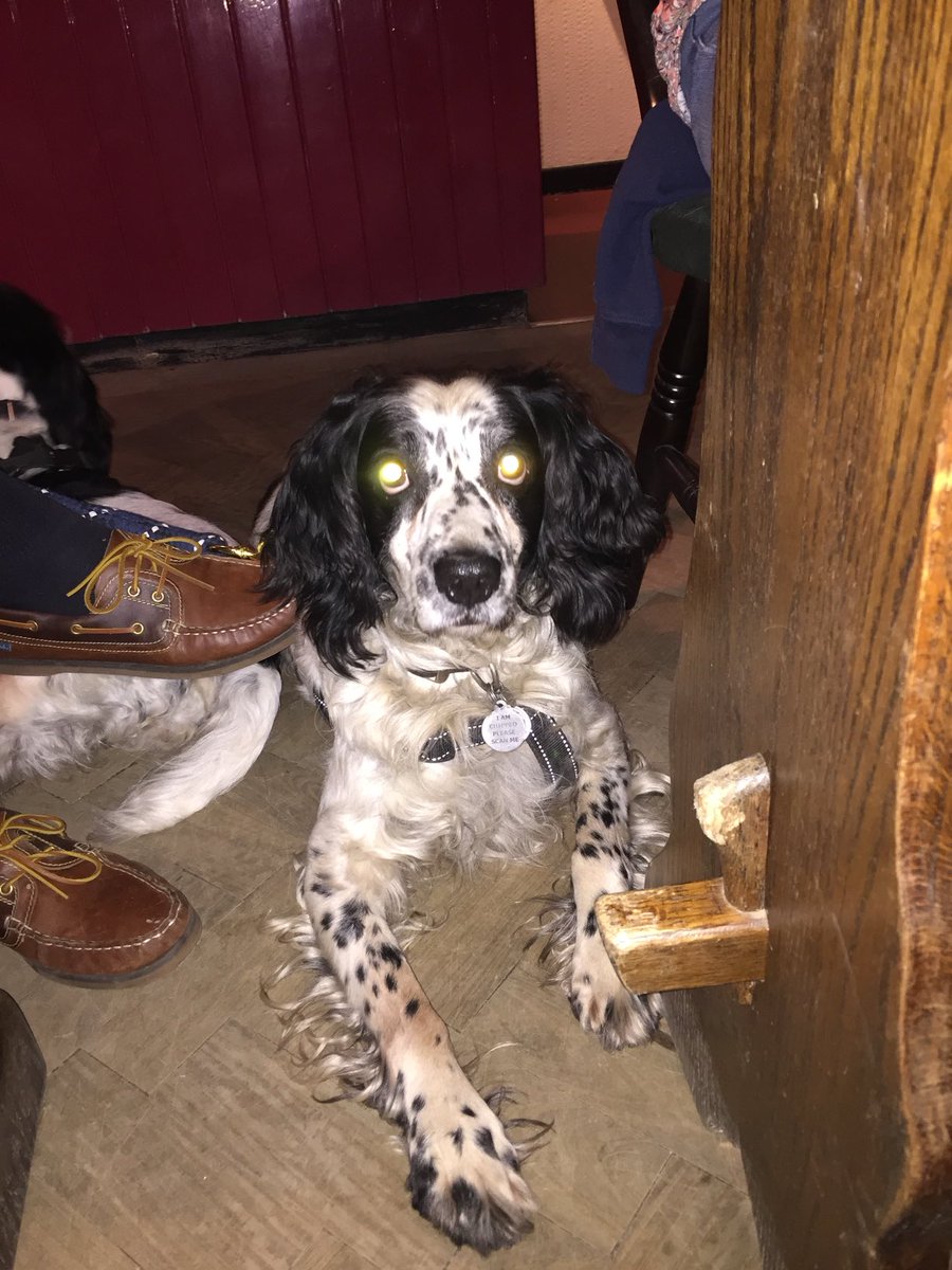 diane rice tweet media