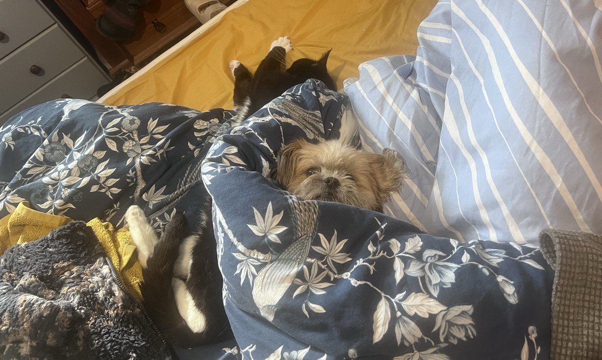 Jim Wilkinson tweet media