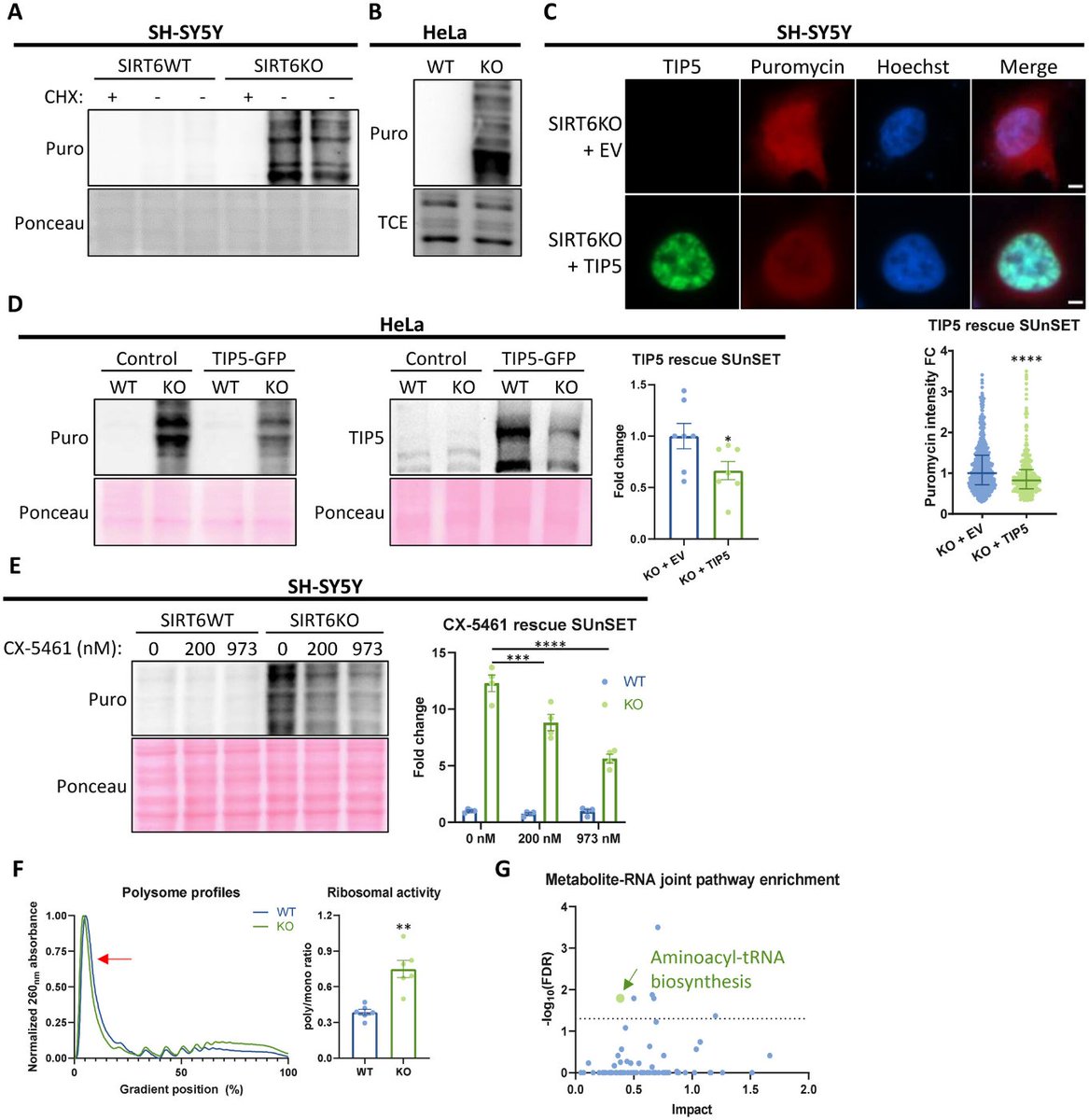 Agingdoc🩺Dr David Barzilai🔔MD PhD MS MBA DipABLM tweet media