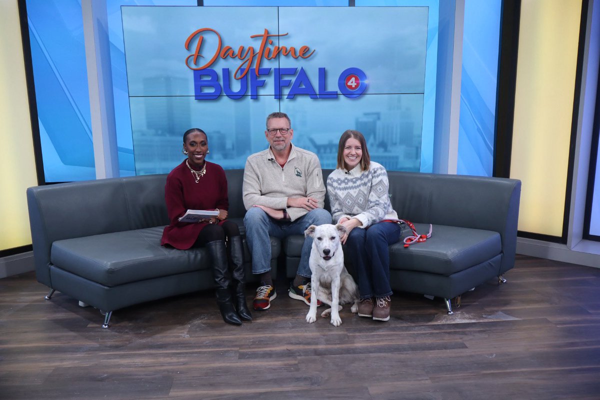 DaytimeBuffalo tweet media