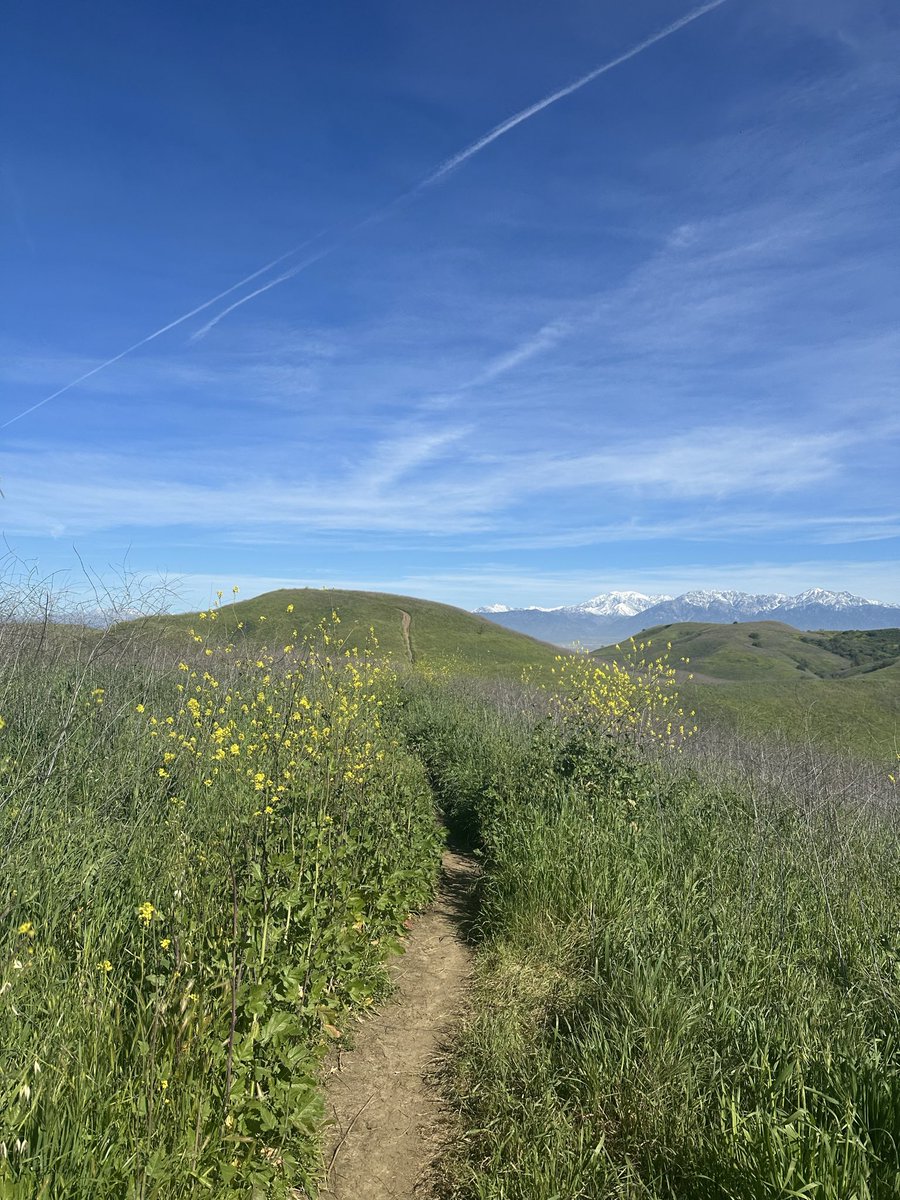 conrad house tweet media