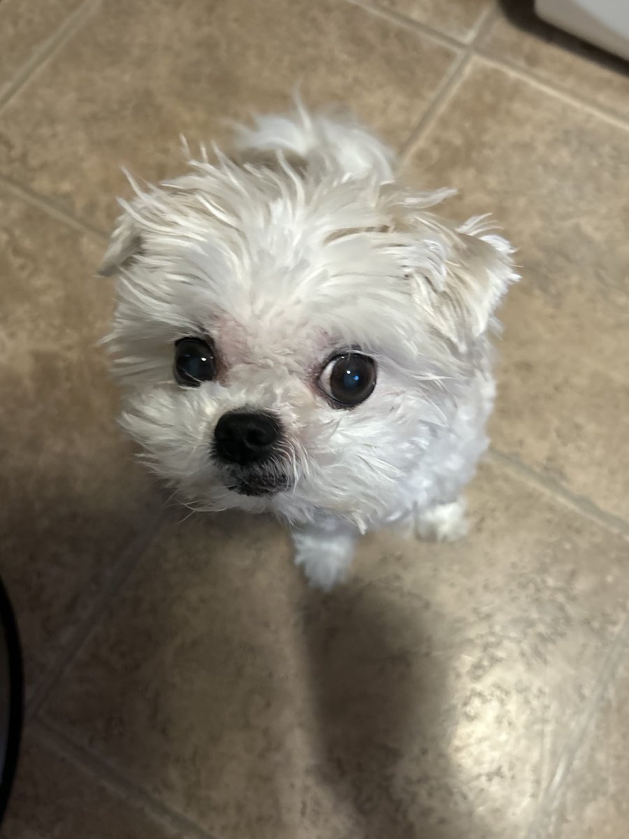 SeungJun tweet media