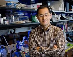 EncyclopediaMarefa tweet media