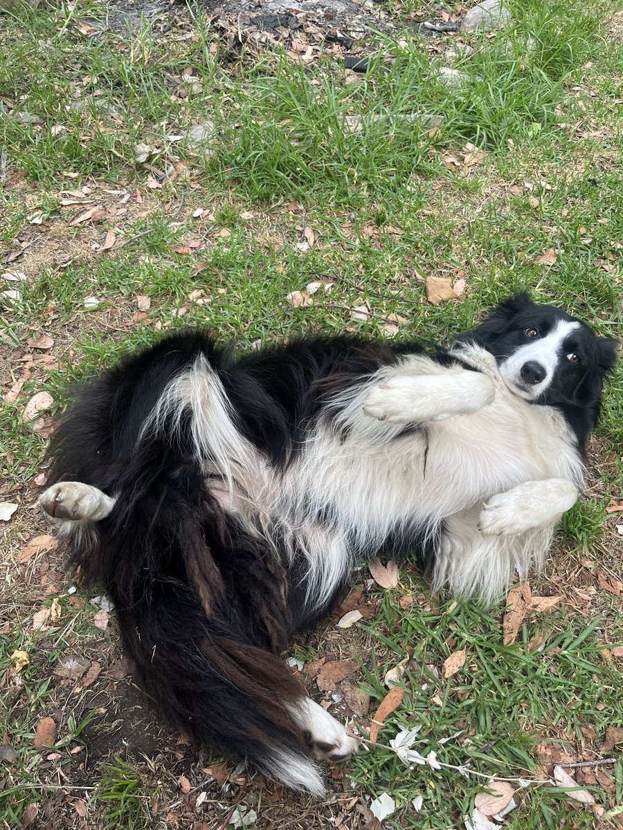 <a href="/LilithLuvsYa/">LaWren</a> <a href="/BadBoyHalo/">BadBoyHalo</a> <a href="/ScreamingLABS/">ScreamingLAB</a> wsp that looks fun ihope i get in i'll give it my all, i won't disappoint 😚😛