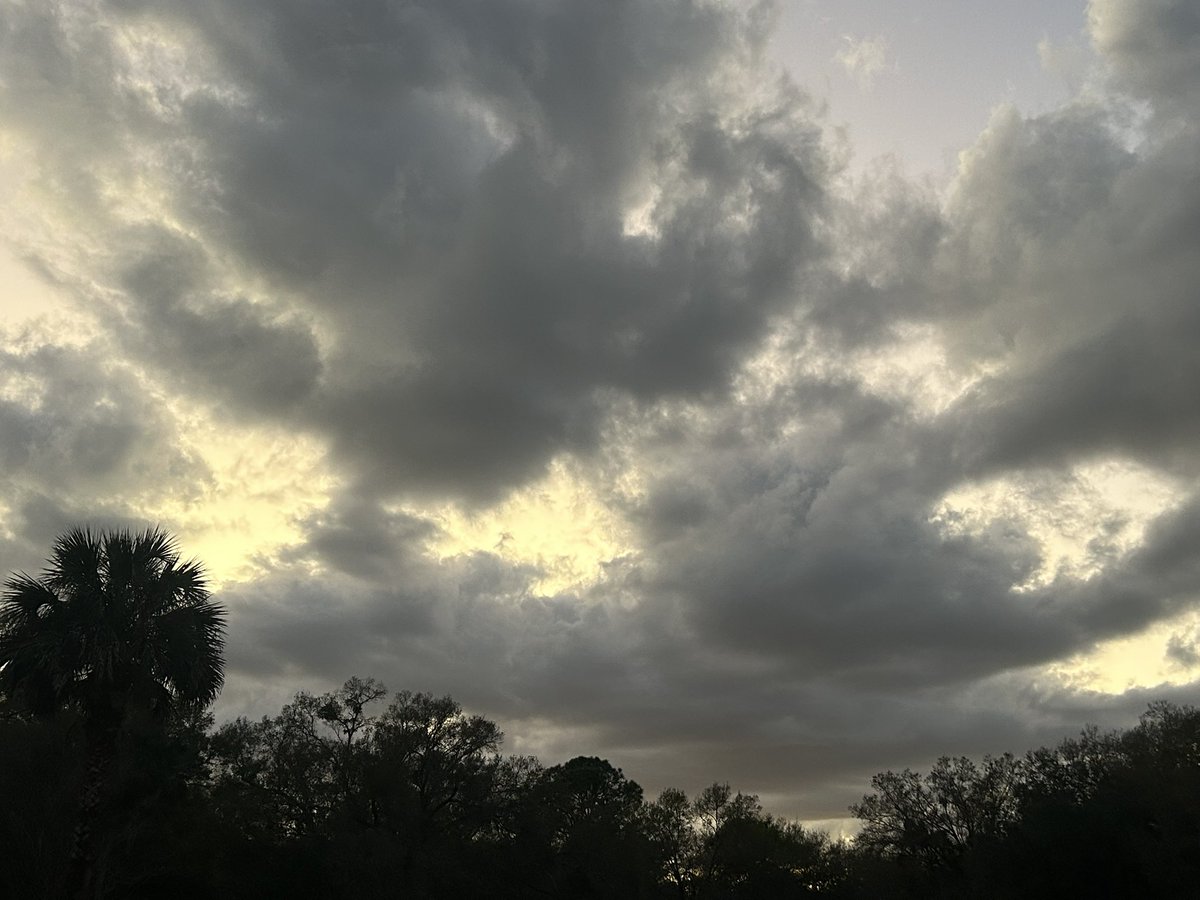 Reverie in Ruins (@sighandsubmit) on Twitter photo 