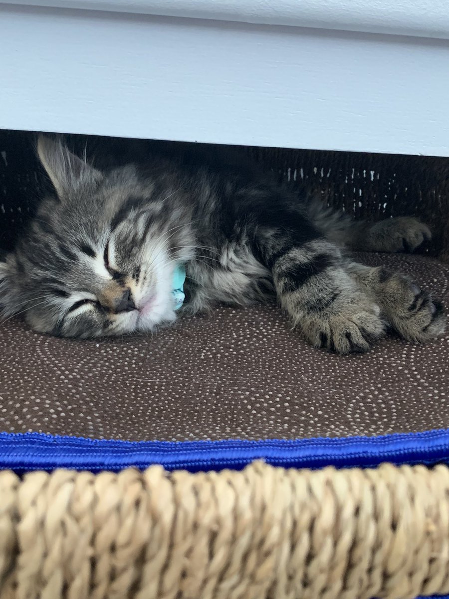 Ayykk 🇵🇸 tweet media