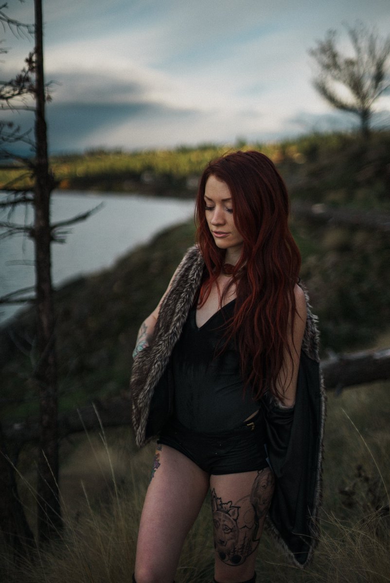 Zara Wolf 🌙 tweet media