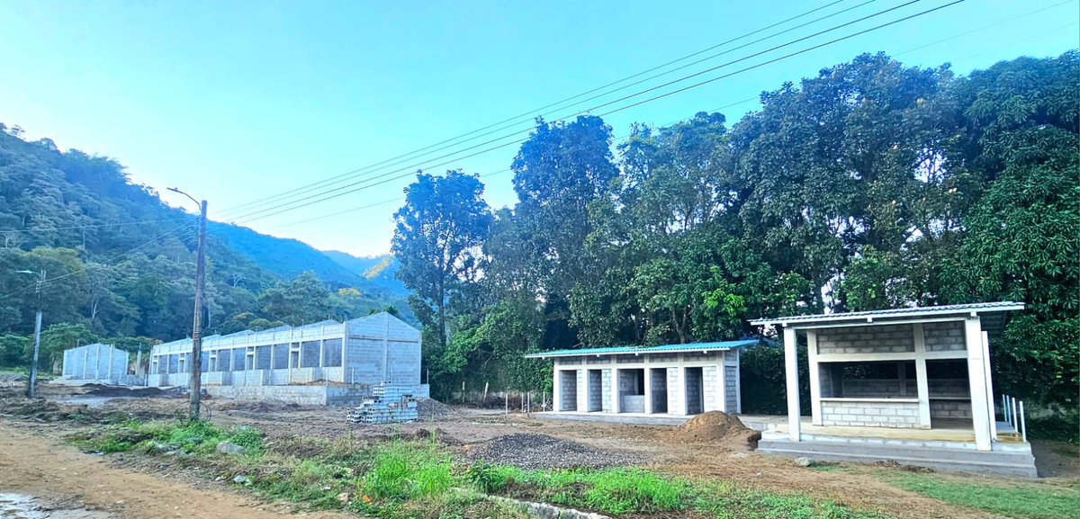 Ramiro Ocasio tweet media