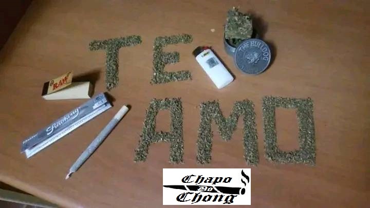 Chapo Do Chong tweet media