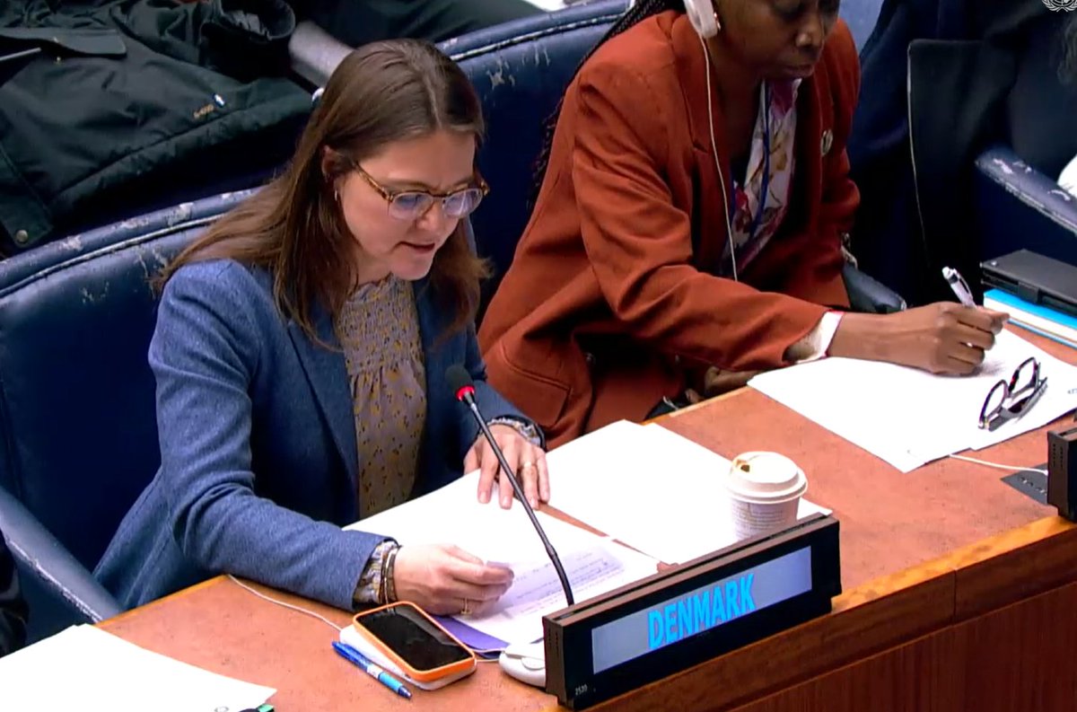 Denmark in UN NY🇩🇰 tweet media