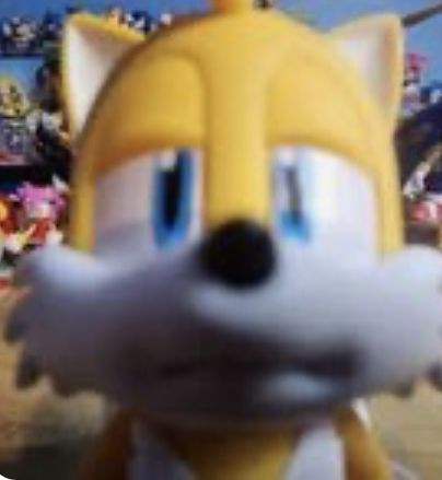 🦊𝙏𝘼𝙄𝙇𝙎🦊 tweet media