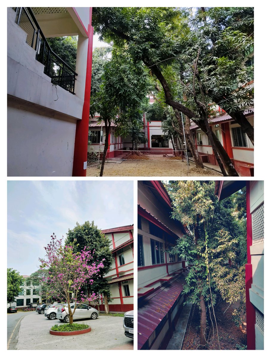 XhetriS's tweet photo. Every corner has a story, every path holds a memory 🌿✨🌸
#EveryCorner #CampusDiaries https://t.co/Zh4LABW8Bu