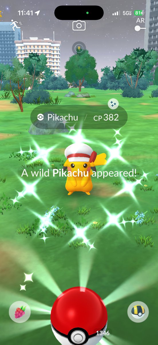 𝓶𝓼 𝓹𝓸GOBIRDS✿ tweet media