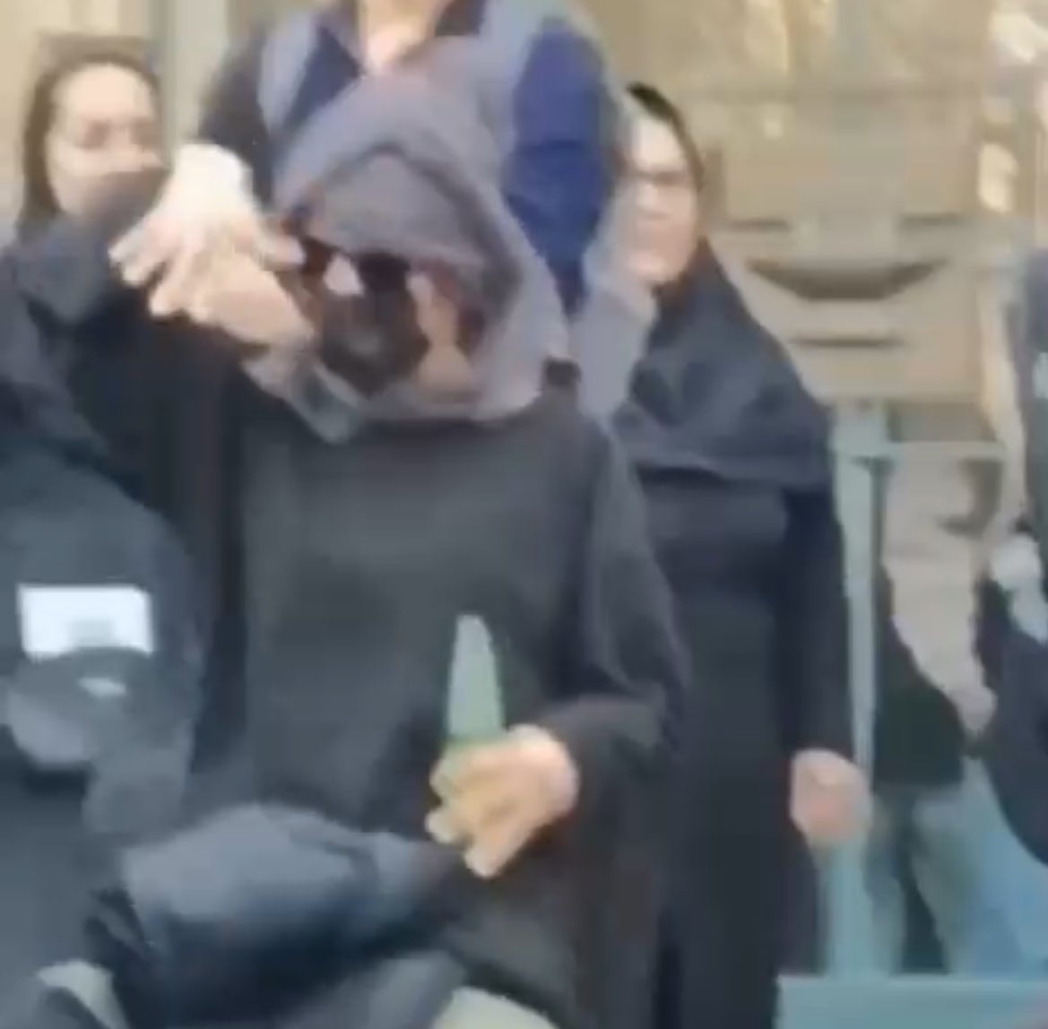 گل مینا tweet media