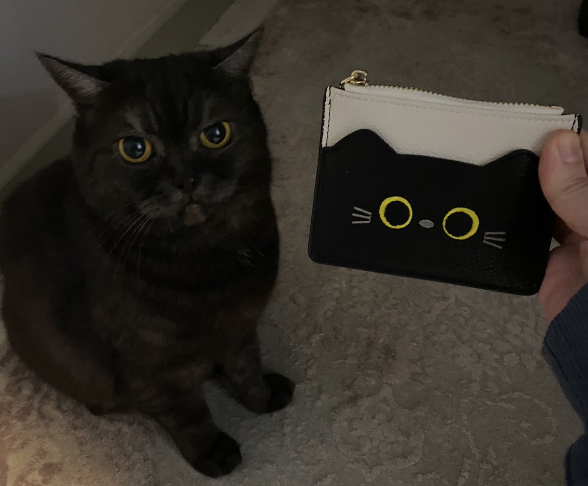 kedimi cuzdana cevirmisler