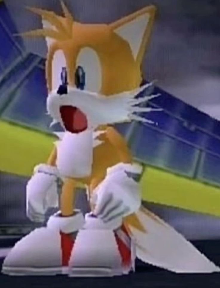 🦊𝙏𝘼𝙄𝙇𝙎🦊 tweet media