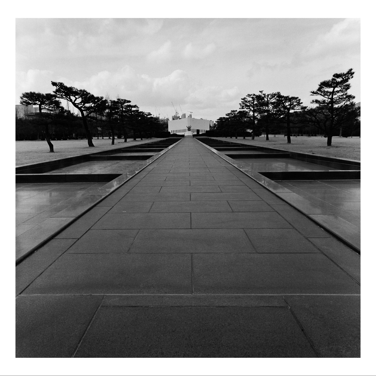 でん同士写真部 Hasselblad 903swc Kodak TRI-X 400