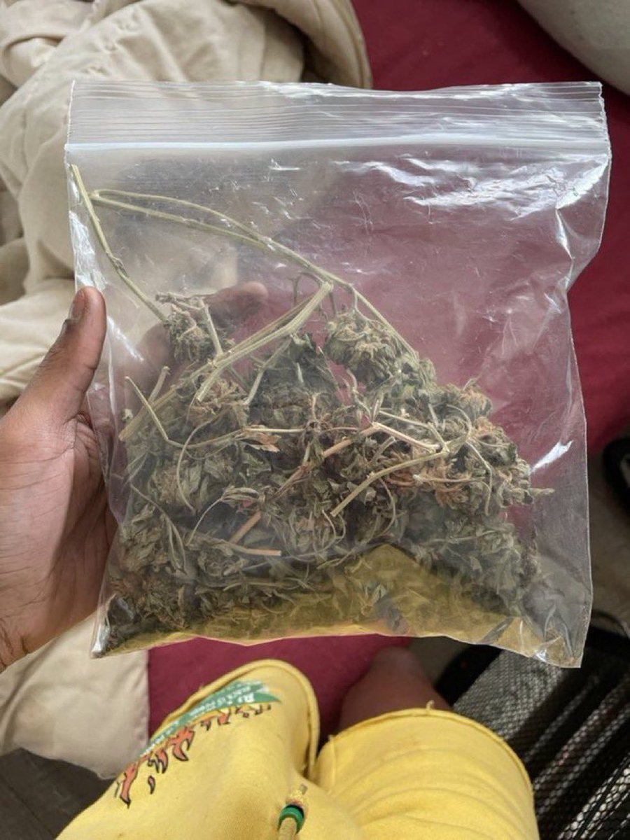 Stoner Barbie tweet media