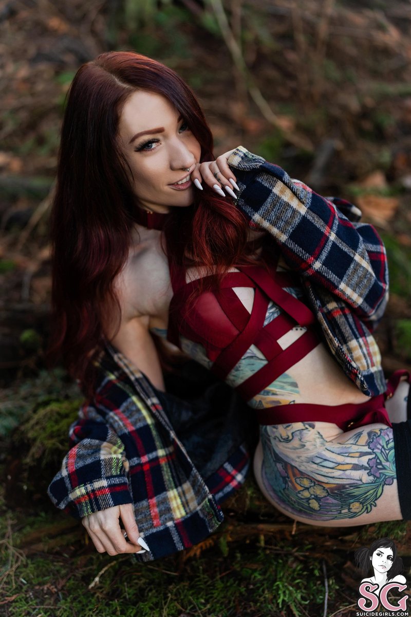 Zara Wolf 🌙 tweet media