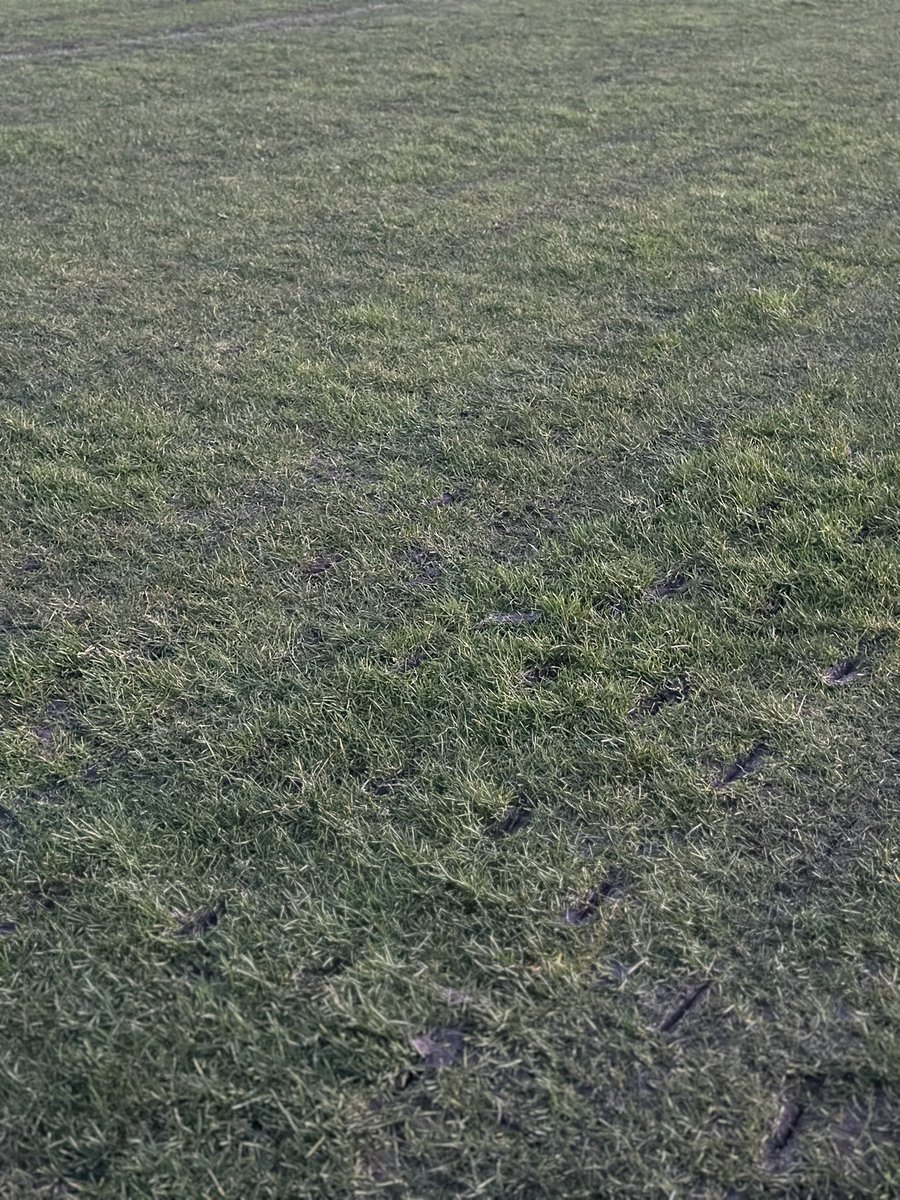 Wardle Football Club tweet media