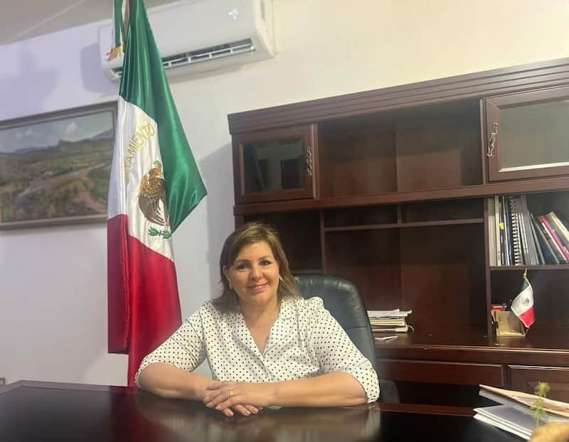 La alcaldesa municipal Nora Alicia Biebrich Duarte fue gravemente herida en un ataque armado en la carretera Hermosillo–Mazatán, a la altura del kilómetro 60. En el ataque, su hijo perdió la vida, confirmó el fiscal general de Justicia de Sonora, Gustavo Rómulo Salas Chávez.

Las