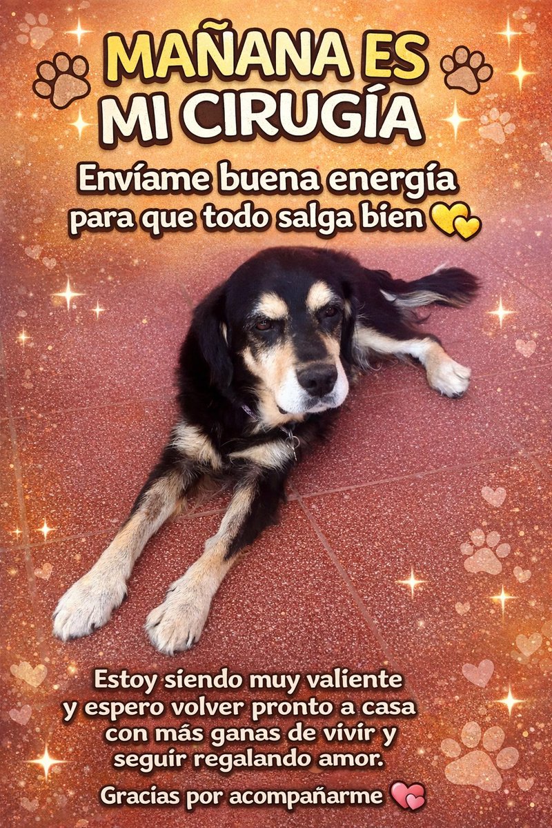 Caro_isa_V's tweet image. 💛💛💛
#Toto