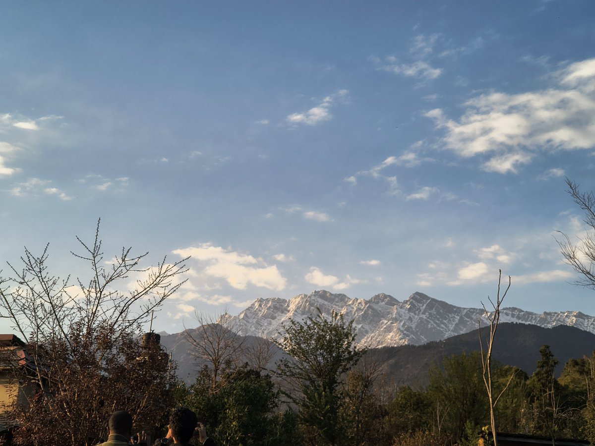 Jeet D'ਮਾਣ tweet media