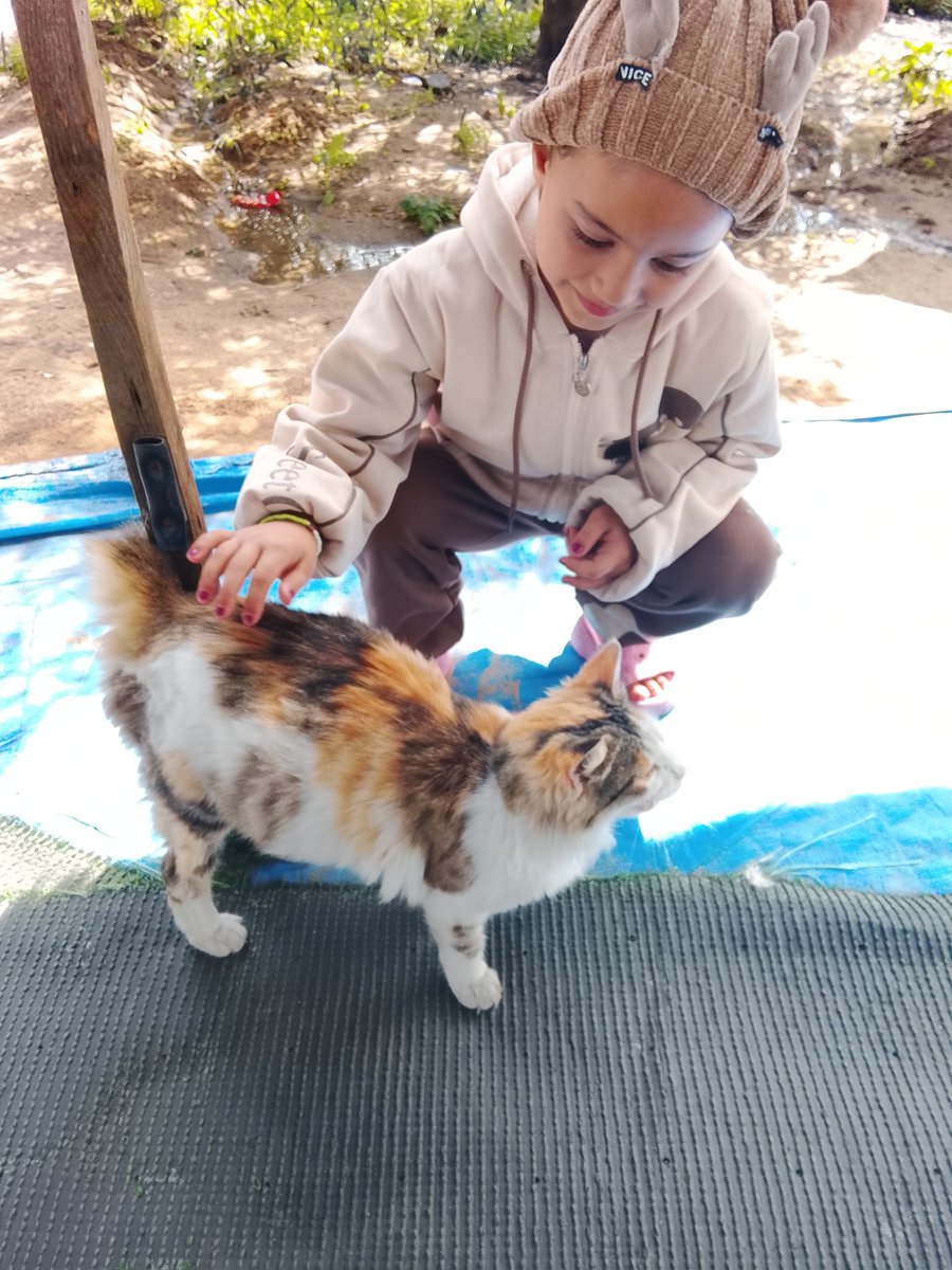 HamadHadee67110's tweet photo. My little daughter loves cats very much and enjoys playing 🤍
But she doesn’t have the space to live her childhood freely.
I hope she grows up in a safe life, gets a good education, and achieves all her dreams. 🌸
https://t.co/JsJTdVjHb0
@Louis_Allday @smallflowergal https://t.co/lOQmRx1Zj3