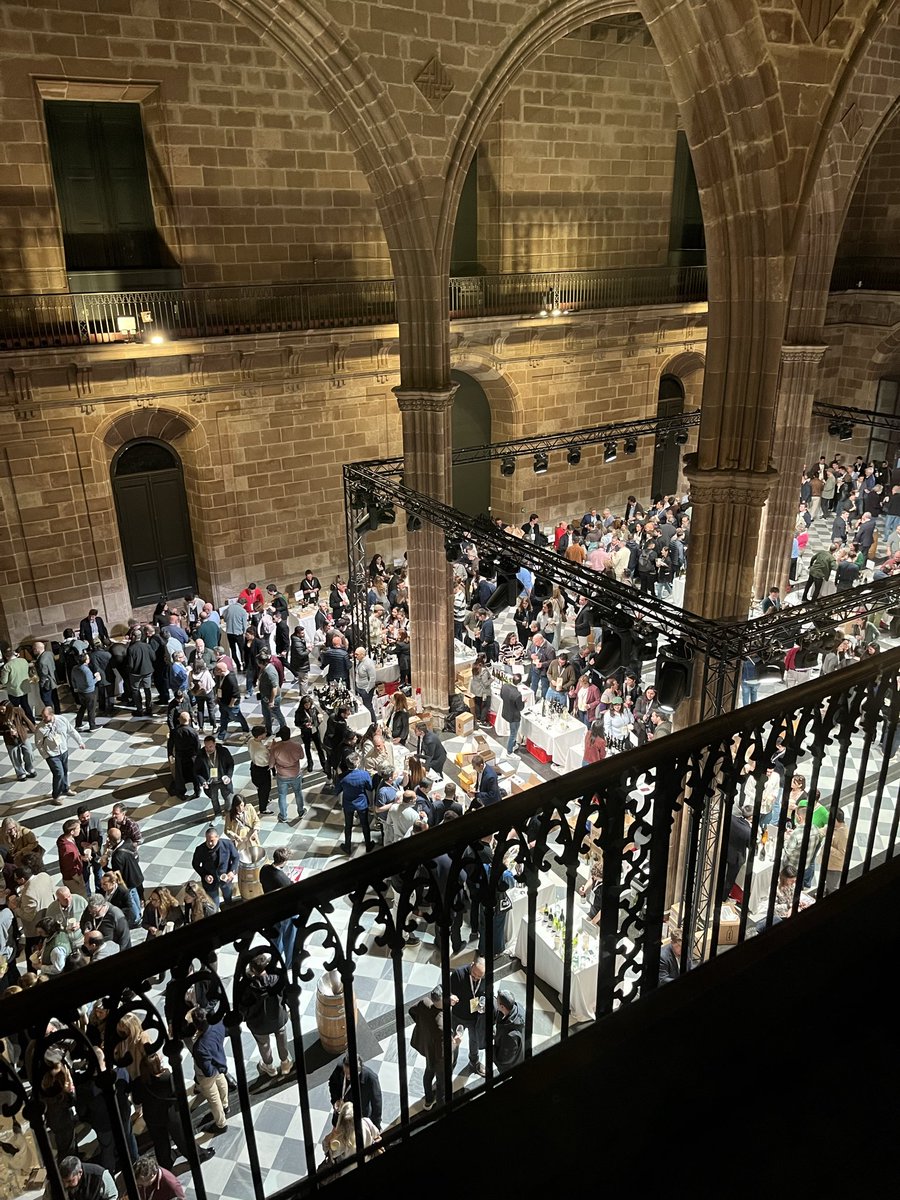 Hector Angulo tweet media