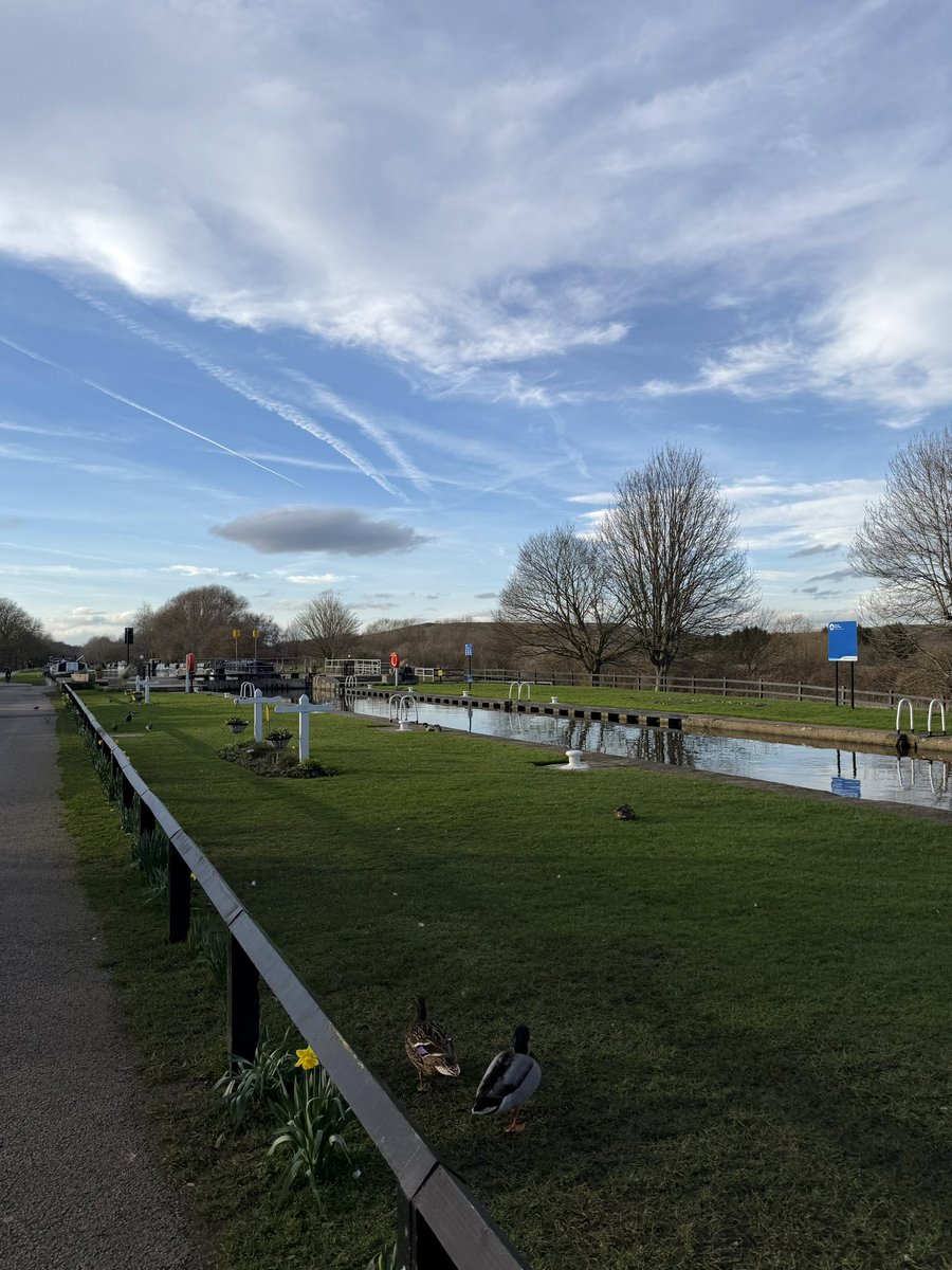 rly cool girl tweet media