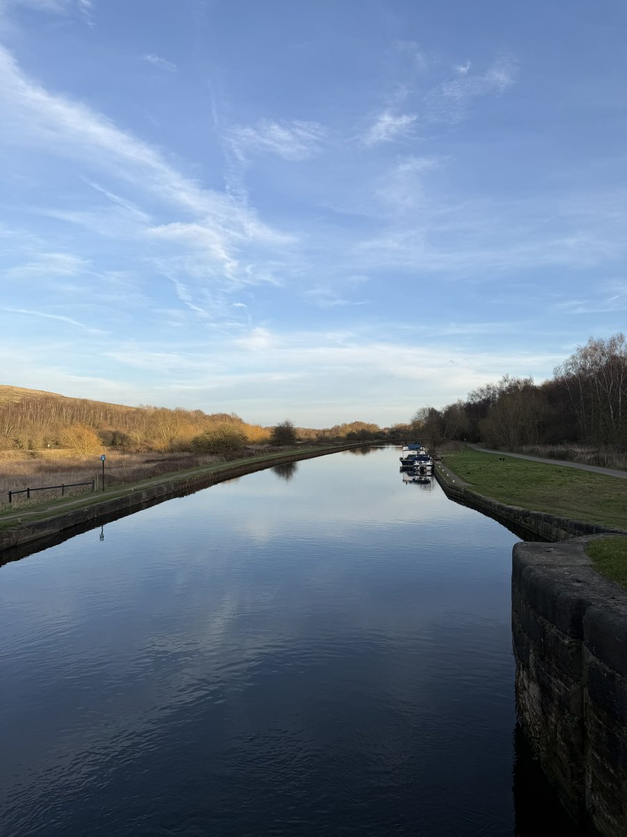 rly cool girl tweet media