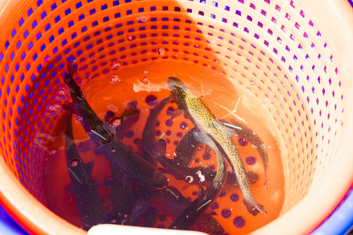 VisitEarlyTexas tweet media