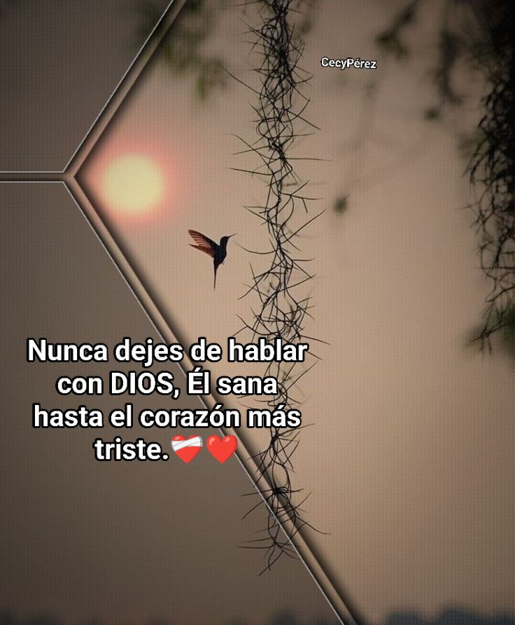 BANDIDOS (@bandidosfrasess) on Twitter photo 