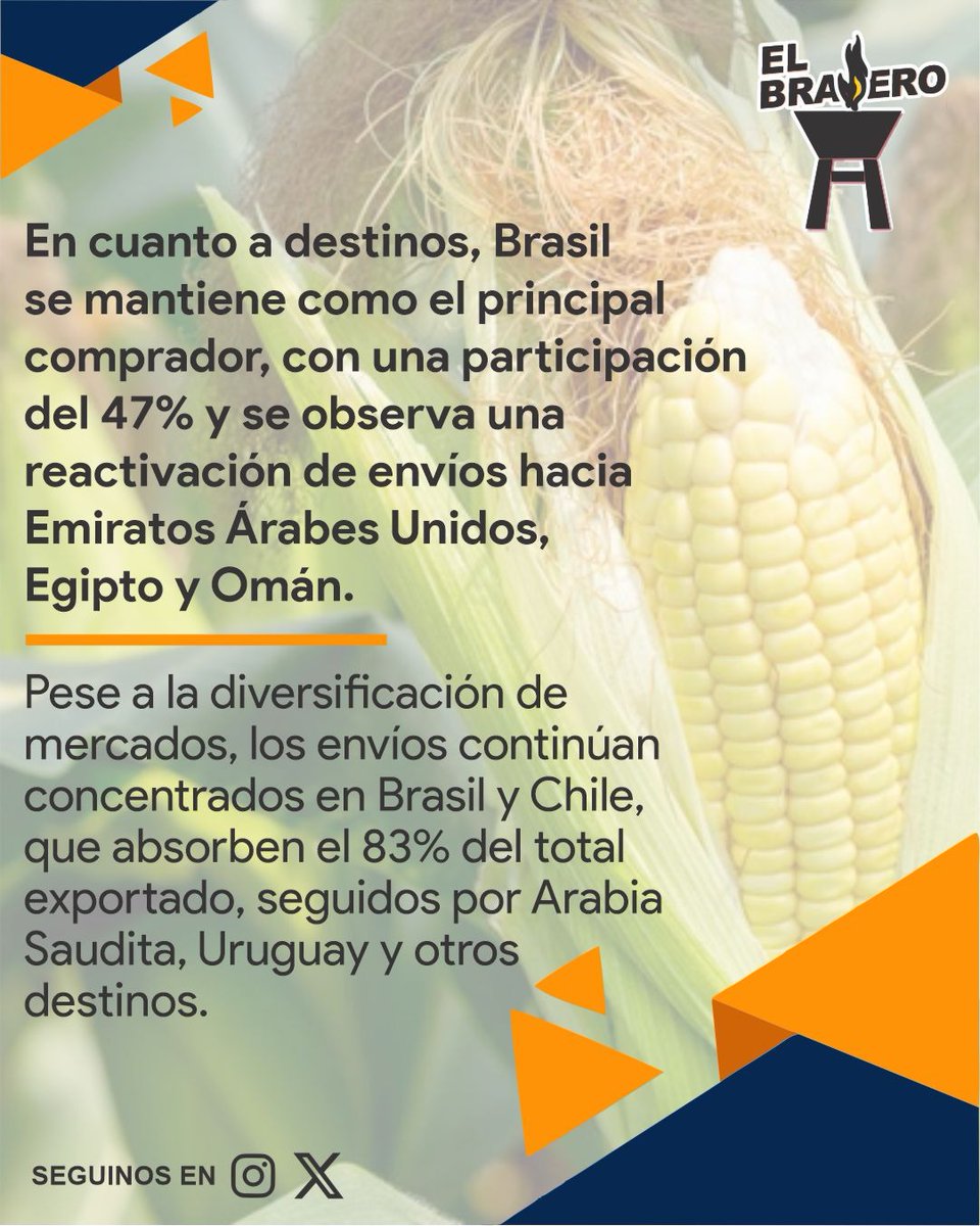 ElBraseroPy tweet media