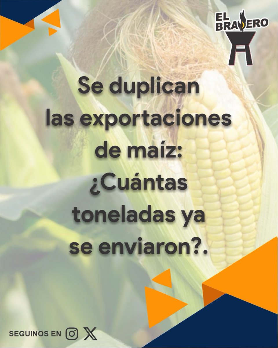 ElBraseroPy tweet media