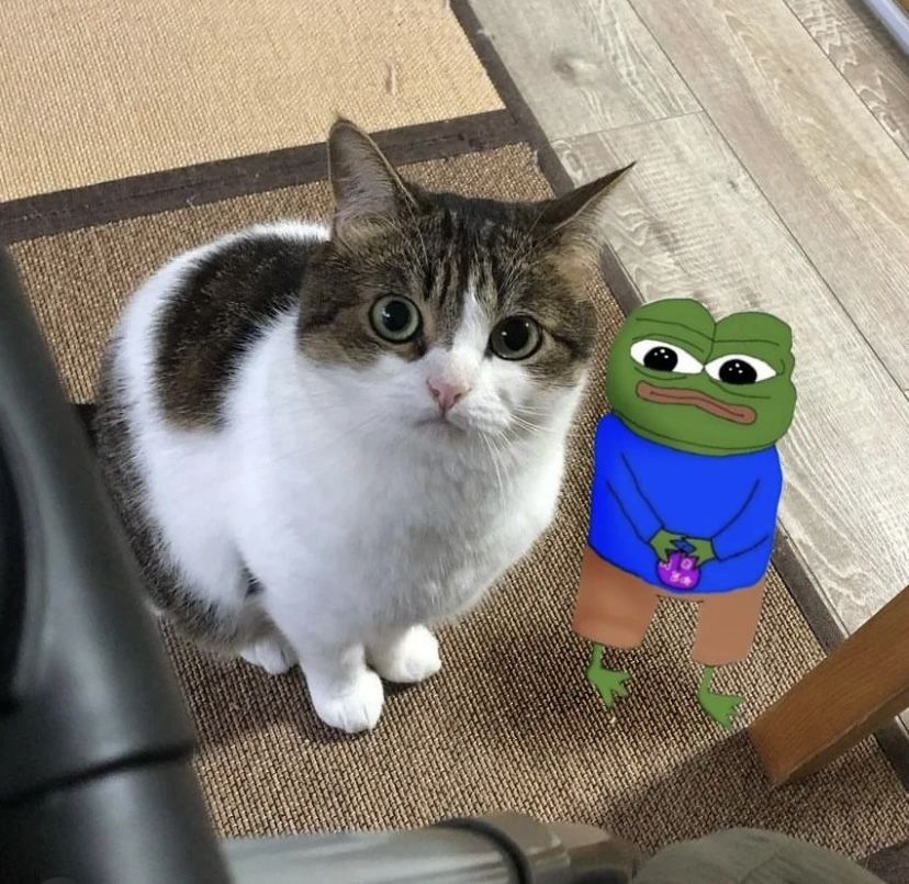 Derivatives Monke tweet media