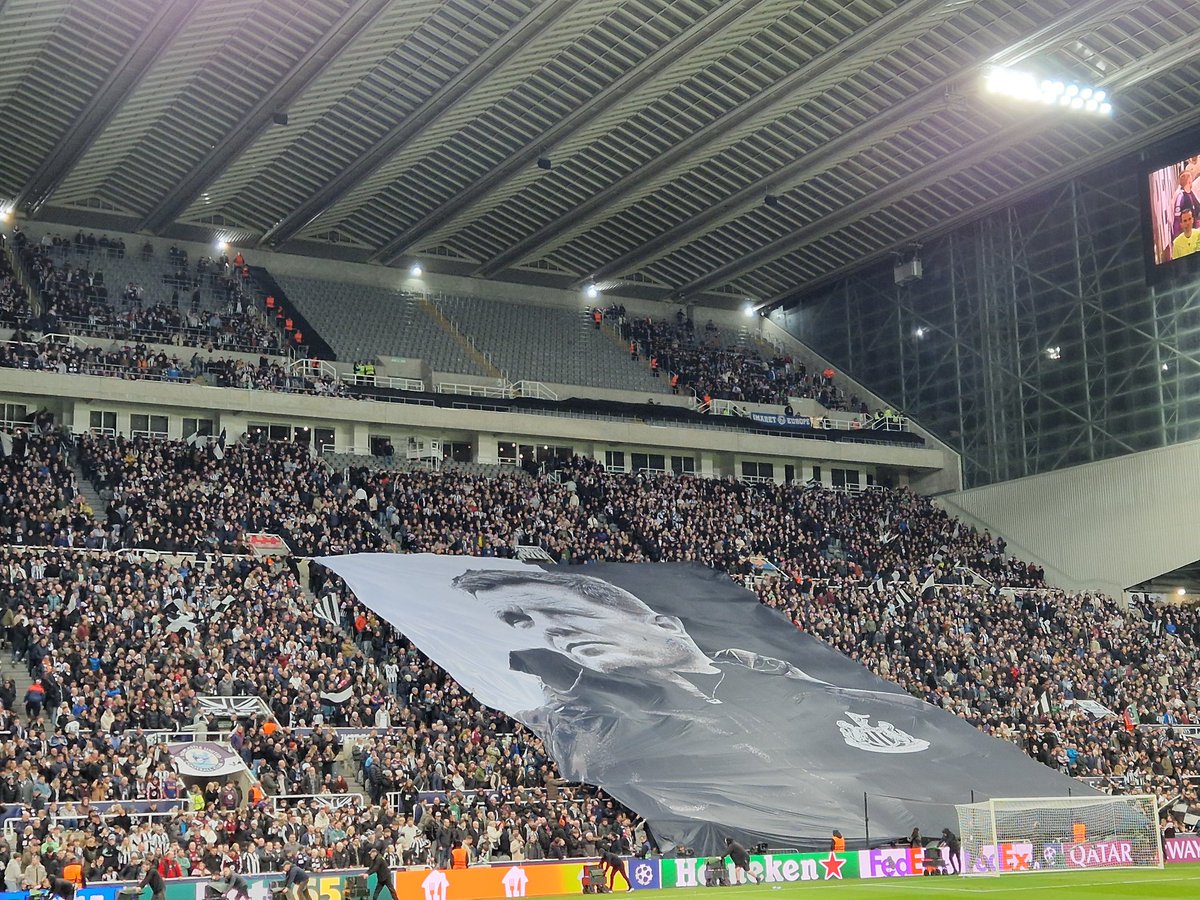 Dominic Scurr tweet media