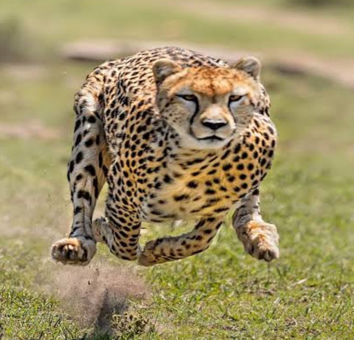 How beginners increase lot size when the see the trade hit their entry