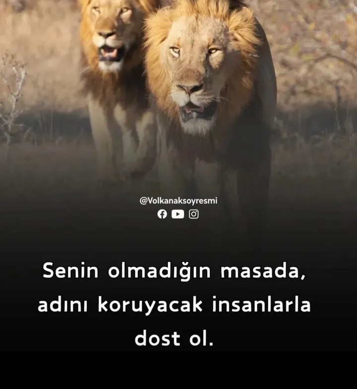 SAĞLAM DOST BULMAK ÇOK ZORDUR GÜNÜMÜZDE!.