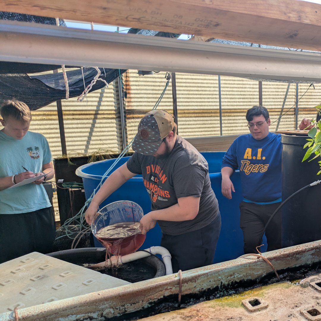 UD College of Earth, Ocean and Environment tweet media