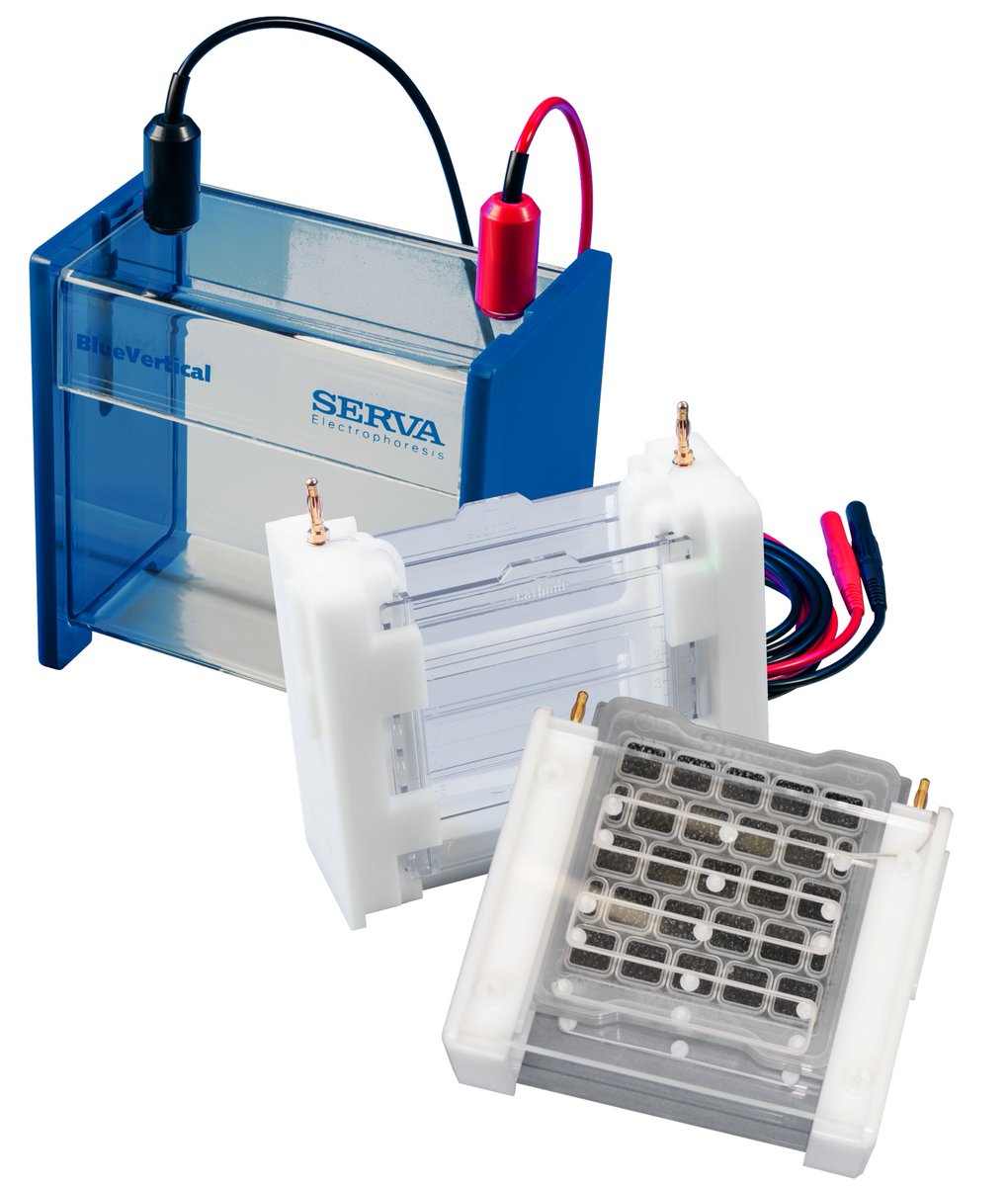 LICORbio tweet media