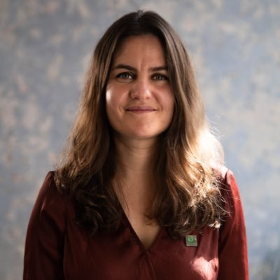 Opinión 51 tweet media