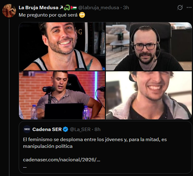 Claro. El feminismo se desploma porque los youtubers somos fachas y machirulos. No porque las feministas os habéis radicalizado, malgastado millones de dinero público, nutrido socialmente de fomentar la guerra de sexos, y demonizado al hombre. Lo que sea menos autocrítica.