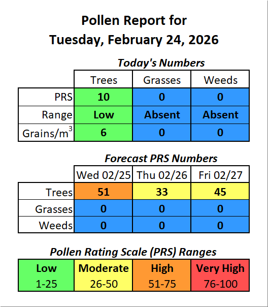 Forsyth County, NC Pollen tweet media