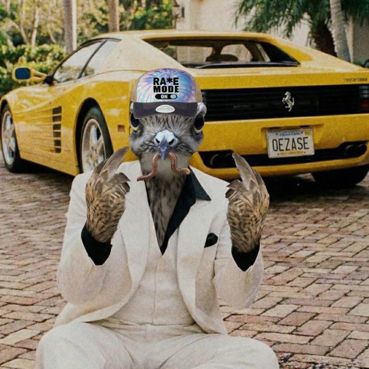 Early Bird tweet media