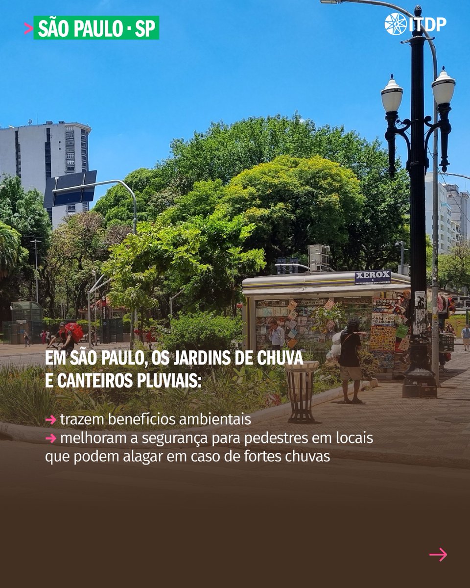 ITDP Brasil tweet media