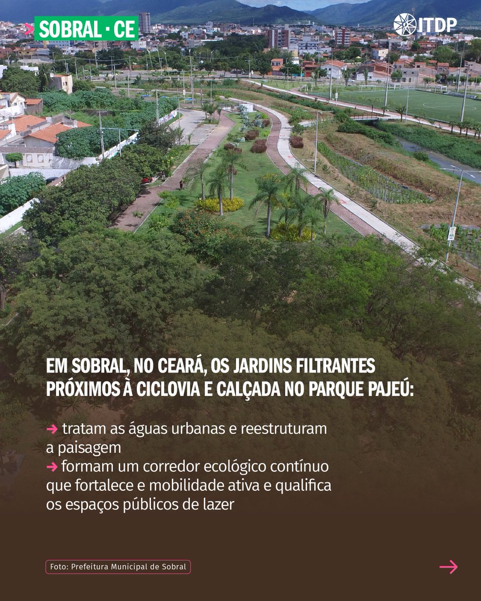 ITDP Brasil tweet media