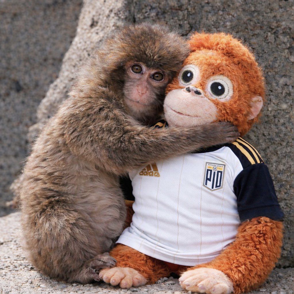 Jude 🇫🇷 tweet media