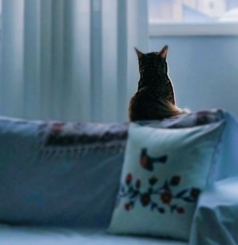 violet🍒 tweet media