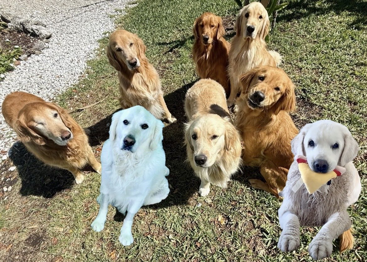 VoodsFoods 🤍🥫🧻 tweet media